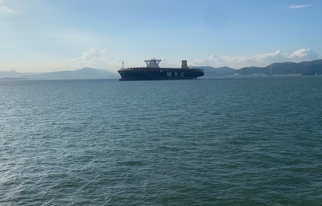 NEC MARINE Delivers Marine Stores to MSC Container Vessel at Liuheng Anchorage, Zhoushan